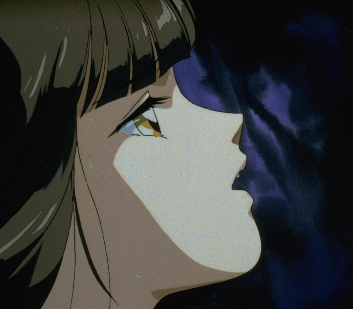 IMG0035.png