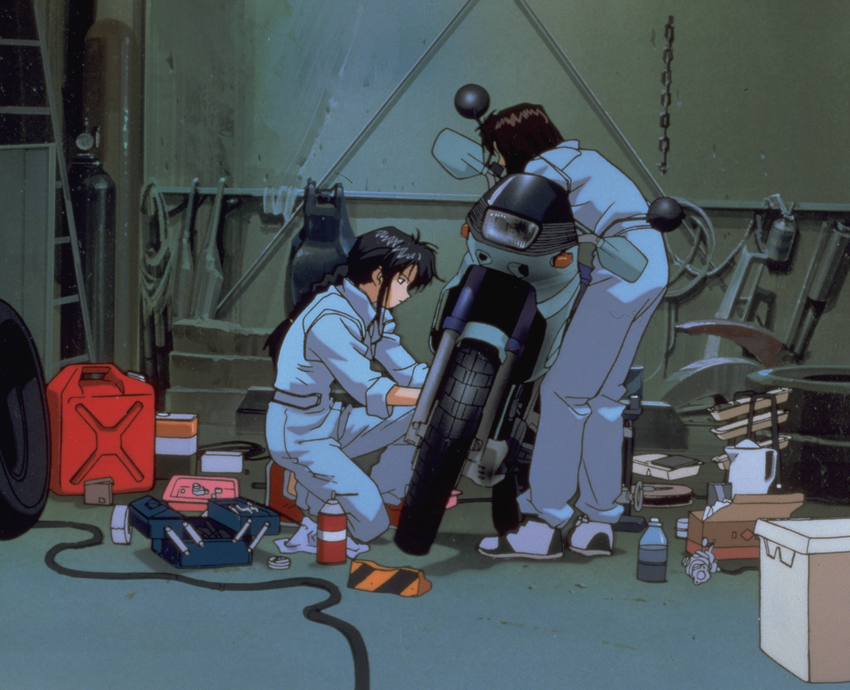 IMG0009.png