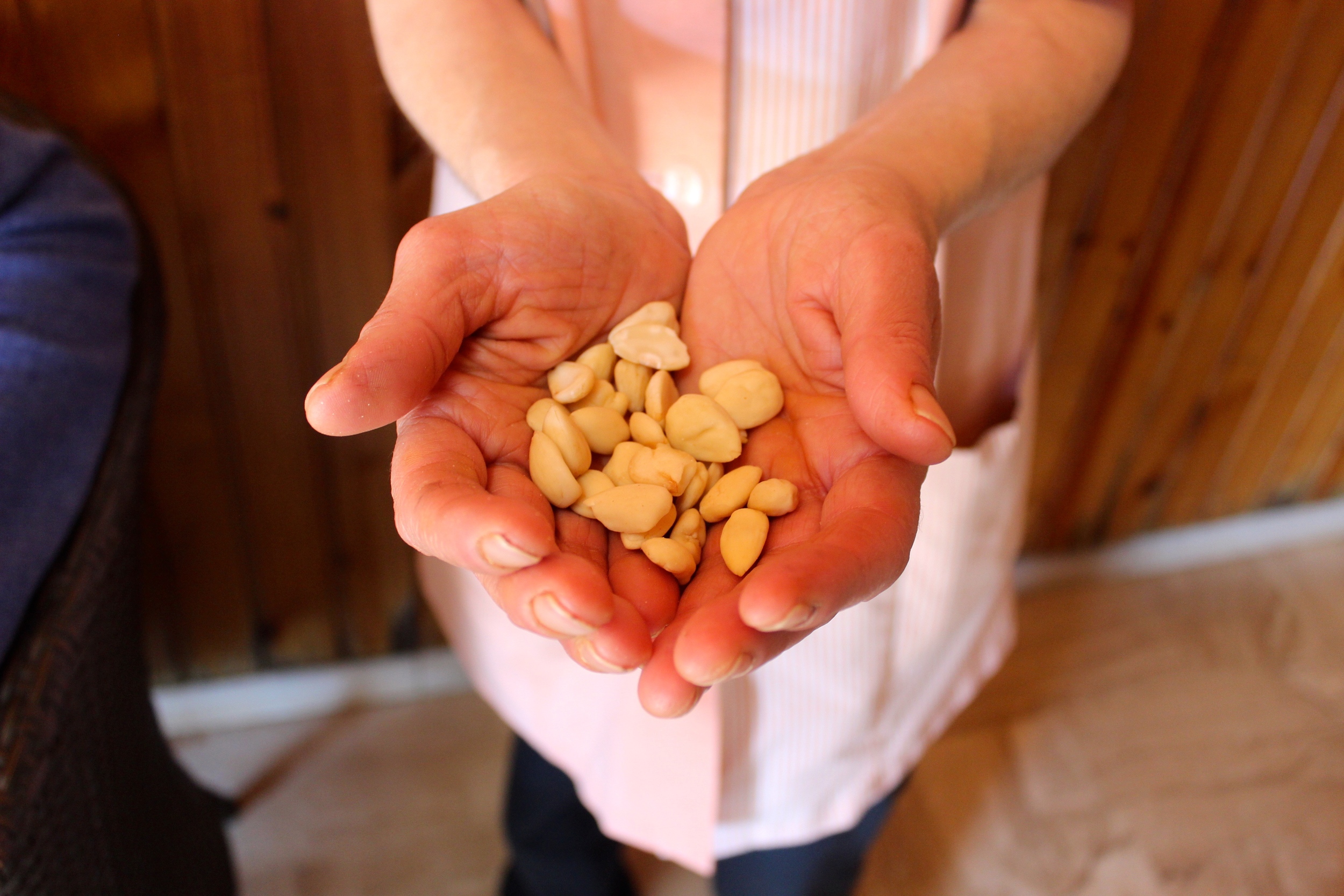 Sardinian almonds