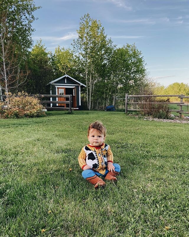 littlest cowboy