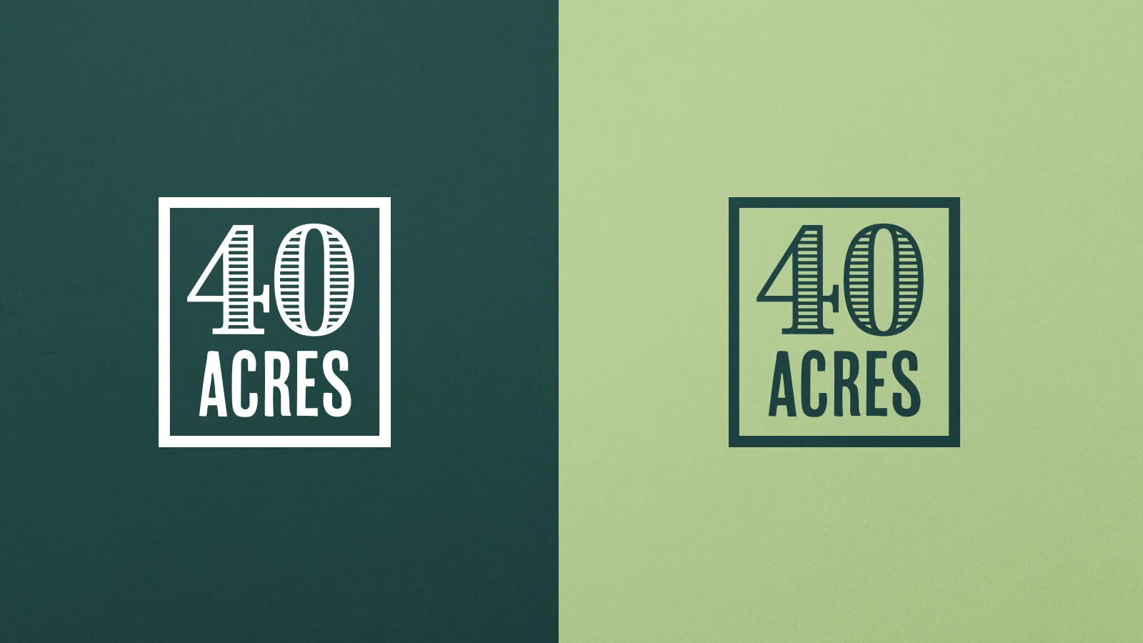 40acres-4.jpg