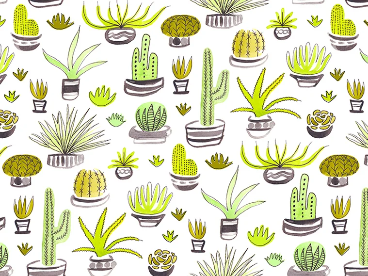 patricehorvathdesign_cactus2.jpg