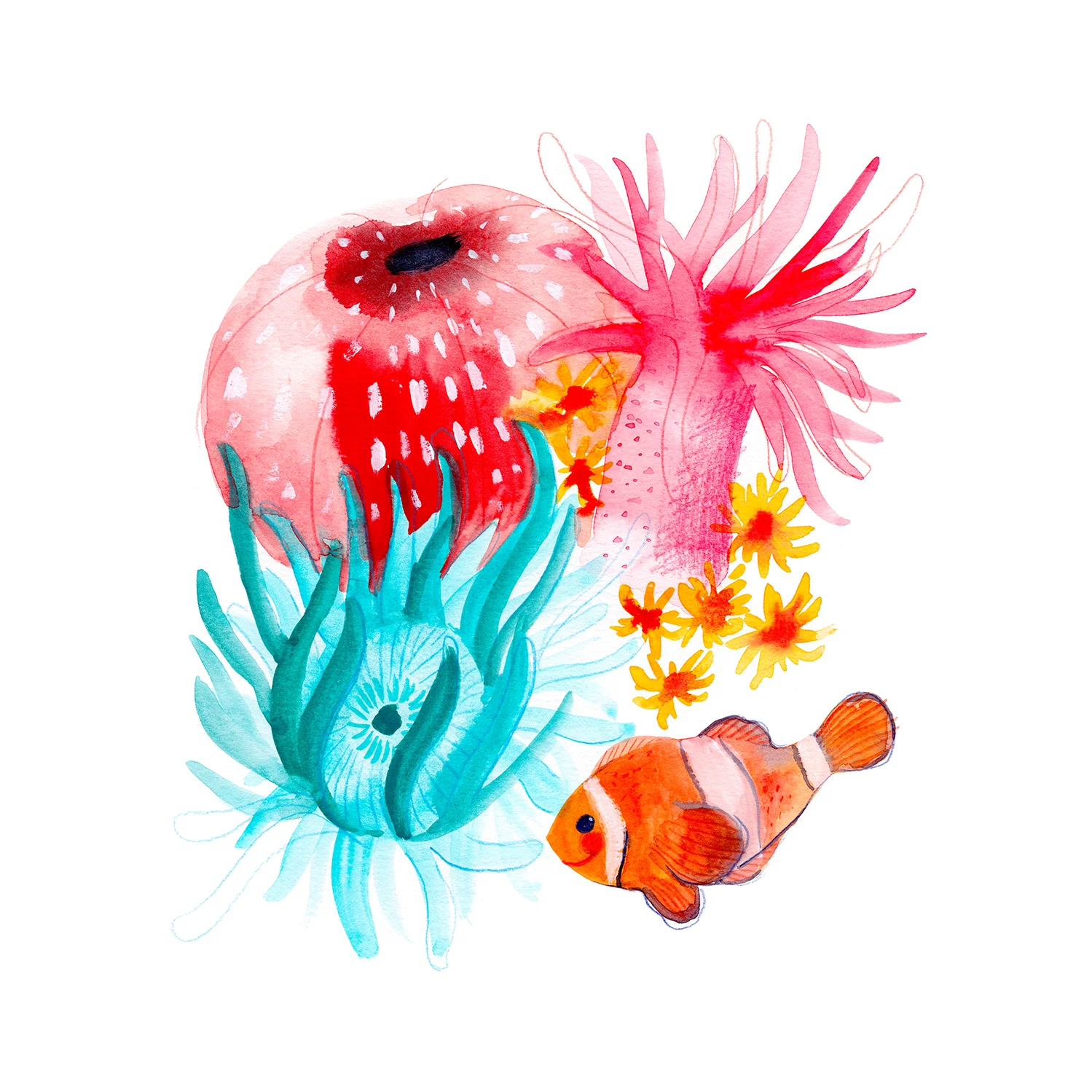 18_GB_HorvathPatrice_ClownFishFriend_21x21.jpg
