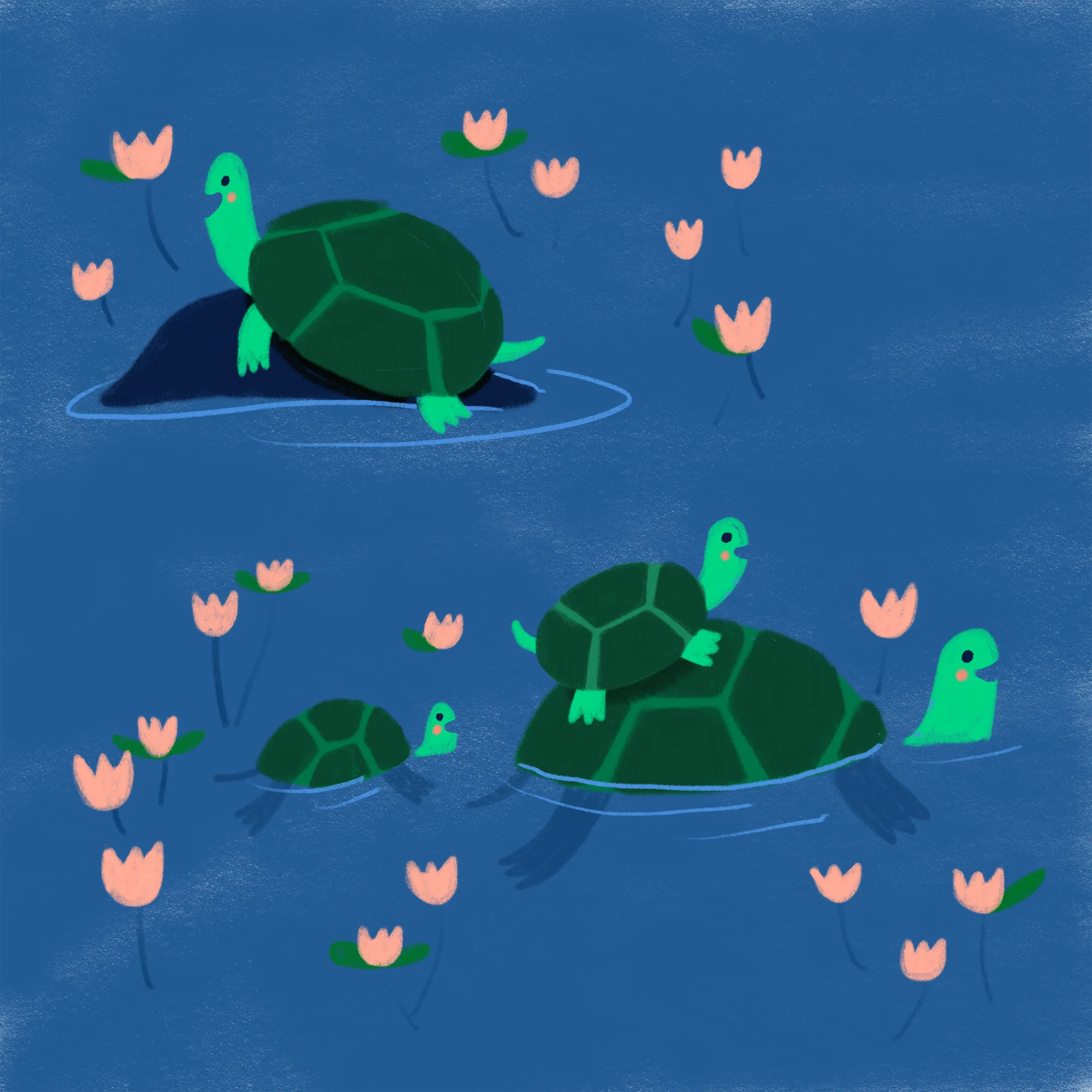Day_16_Turtles_Minted.jpg