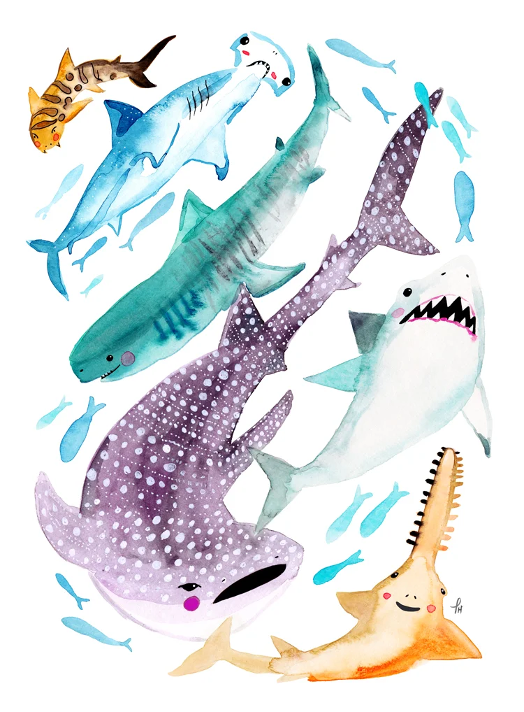 patricehorvath_sharks_LR2.jpg
