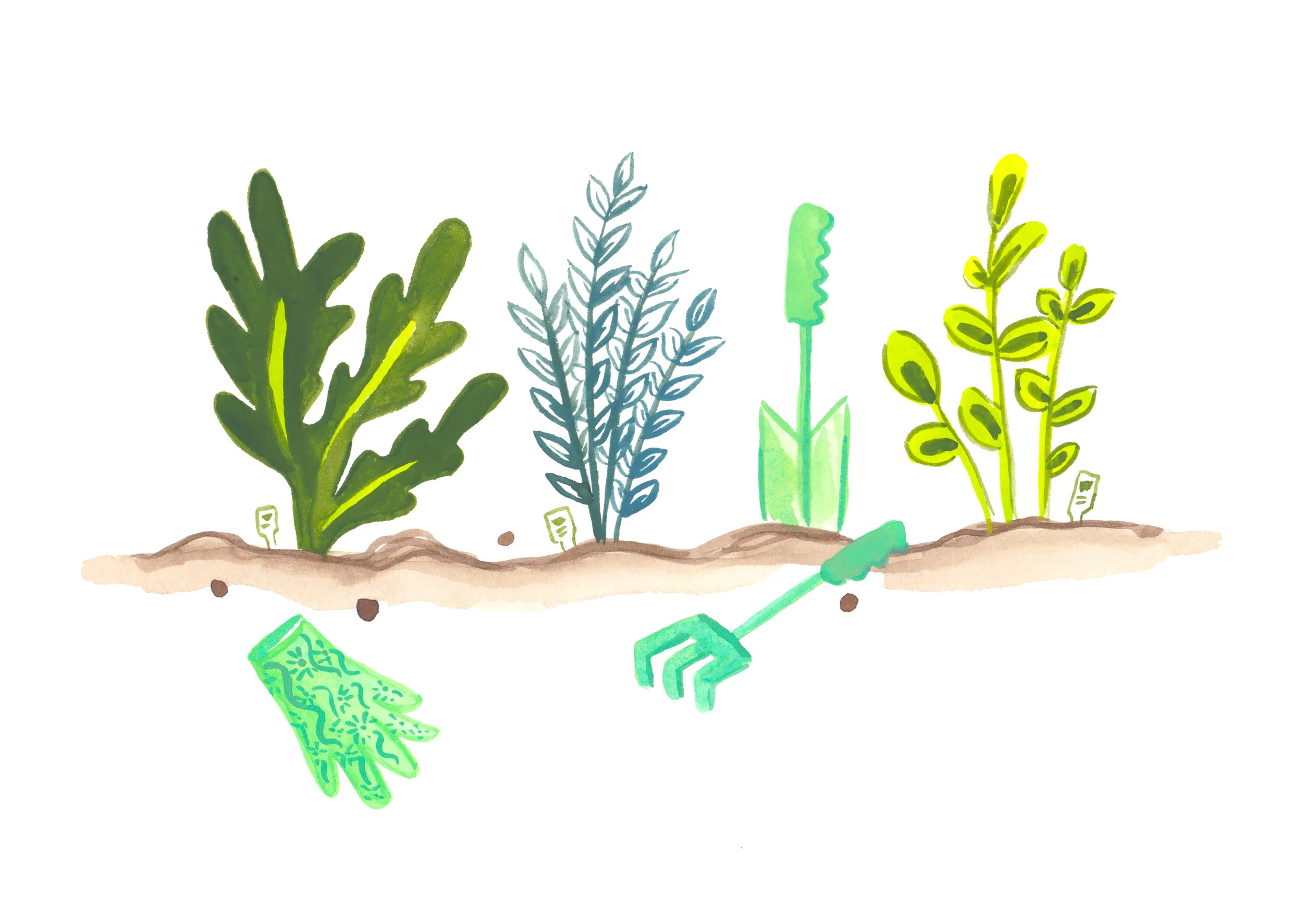 gardentools_6500.jpg