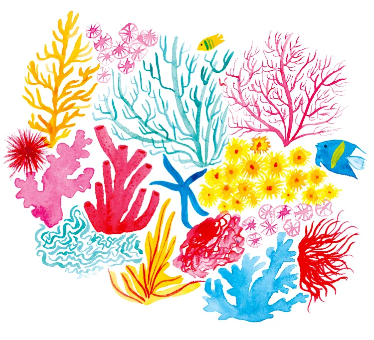 patriceHorvath_coral_greenbox.jpg