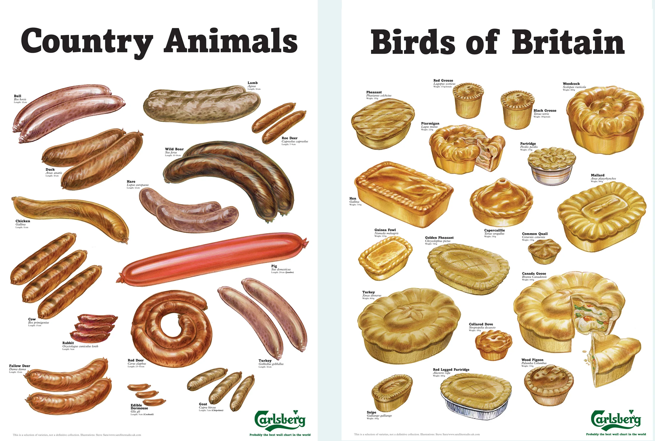 Carlsbery posters.jpg