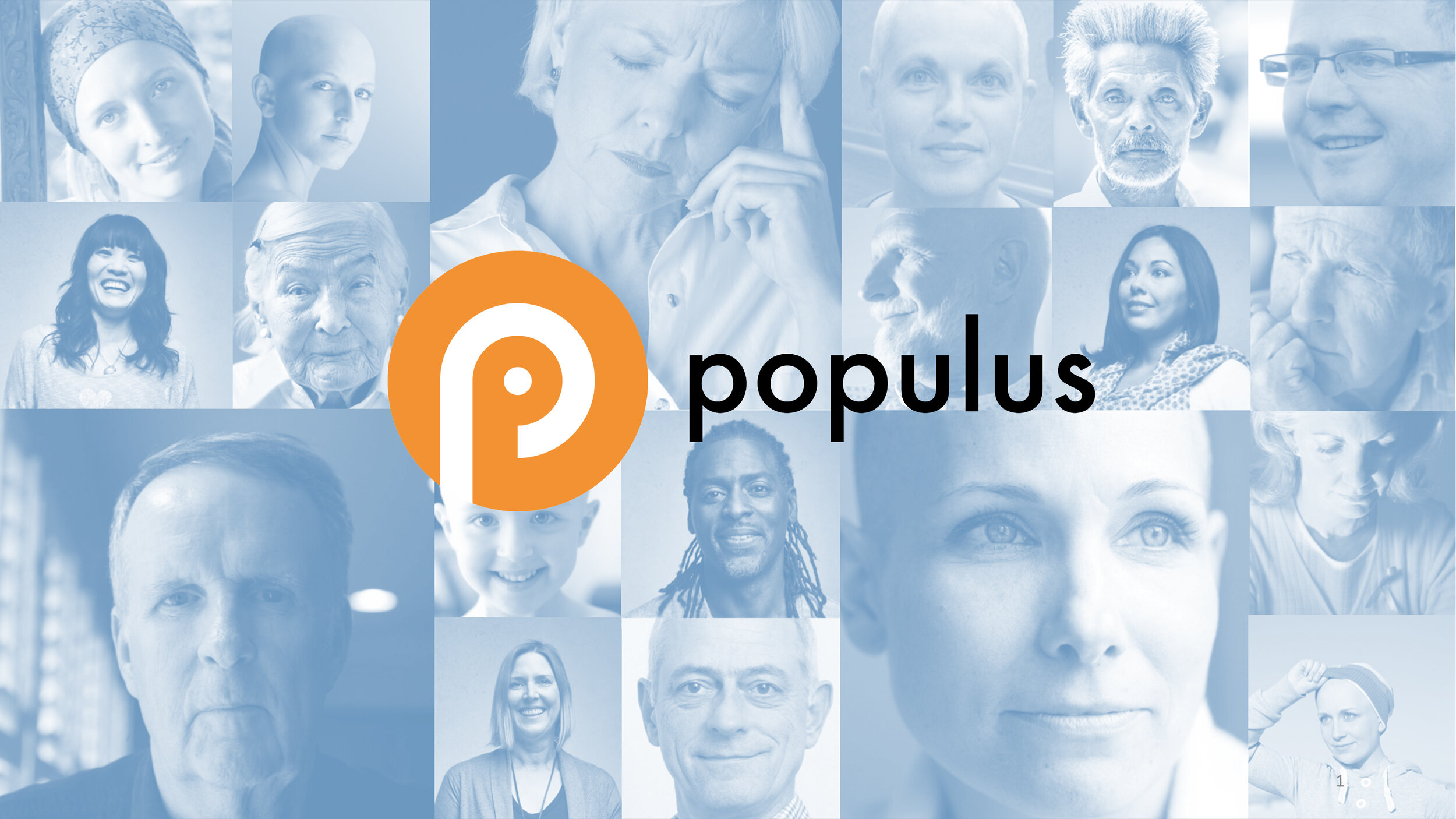 PopulusWIP1PM-1.jpg