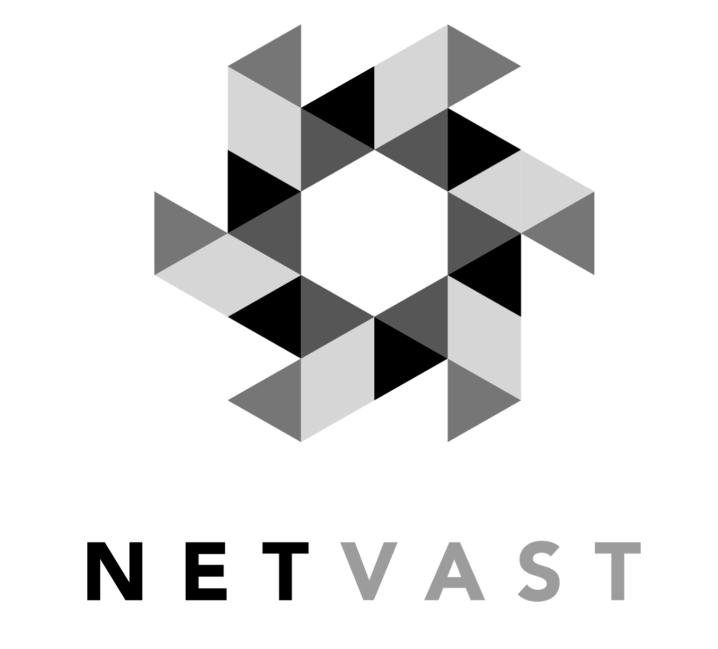 netvast logo.png