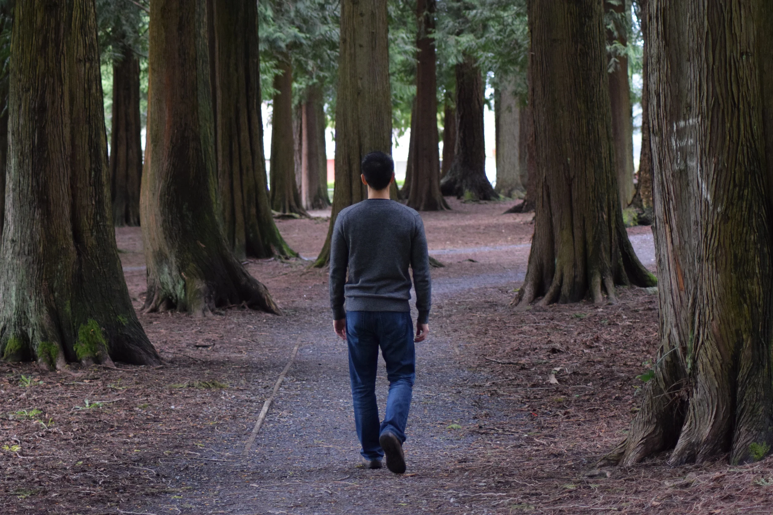 The Power of Solitude