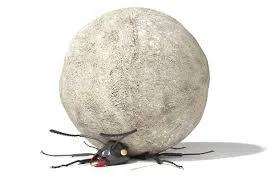 Squash the ANTs (Automatic Negative Thoughts)