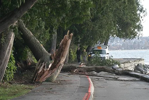 How a Windstorm Helped Me Define Happiness