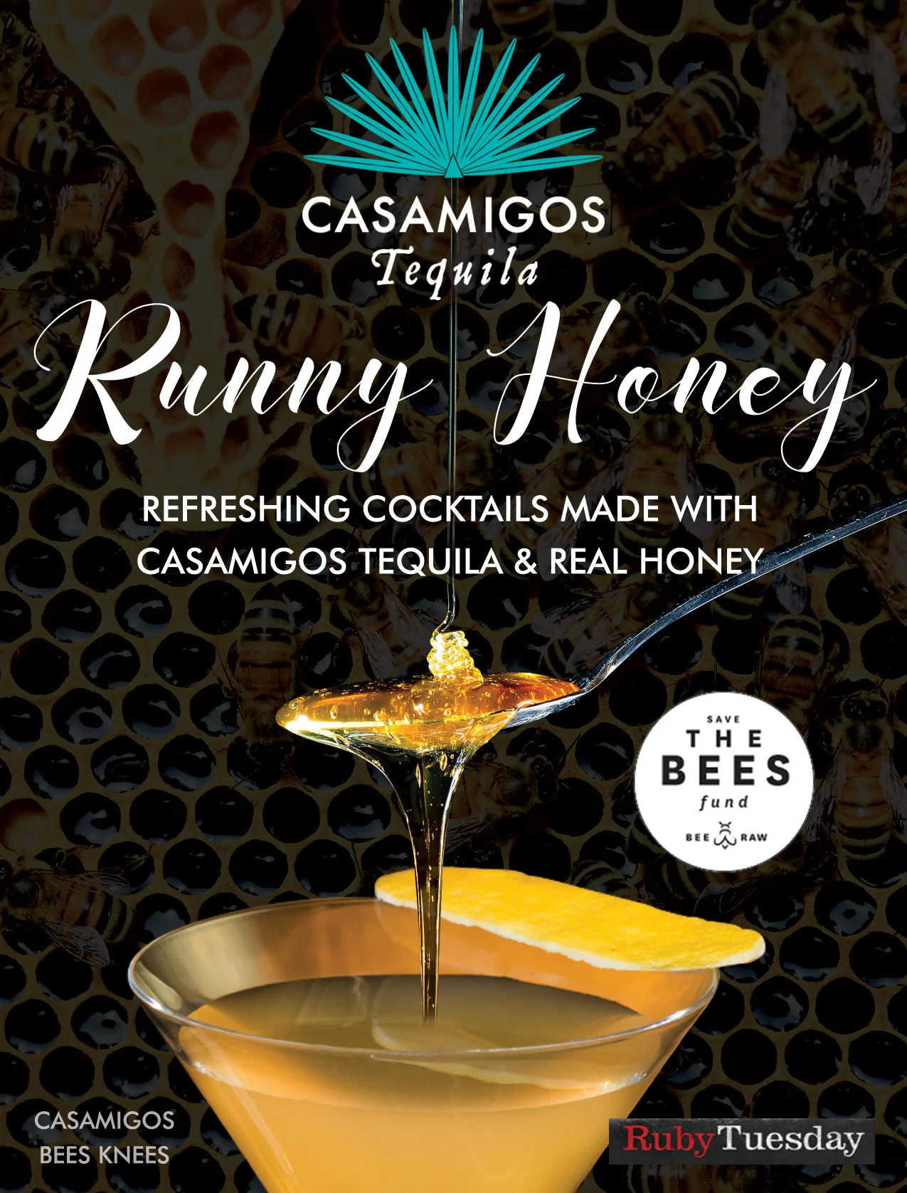 Ruby Tuesday Campaign Proposal
