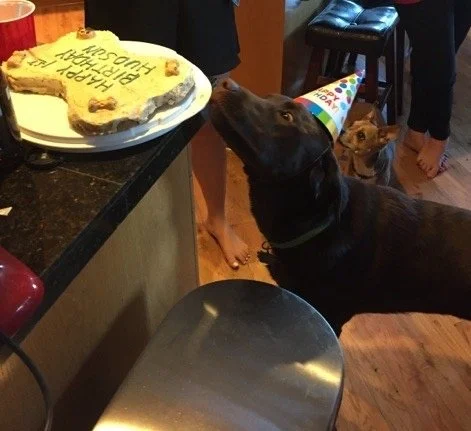Hudson enjoying his cake