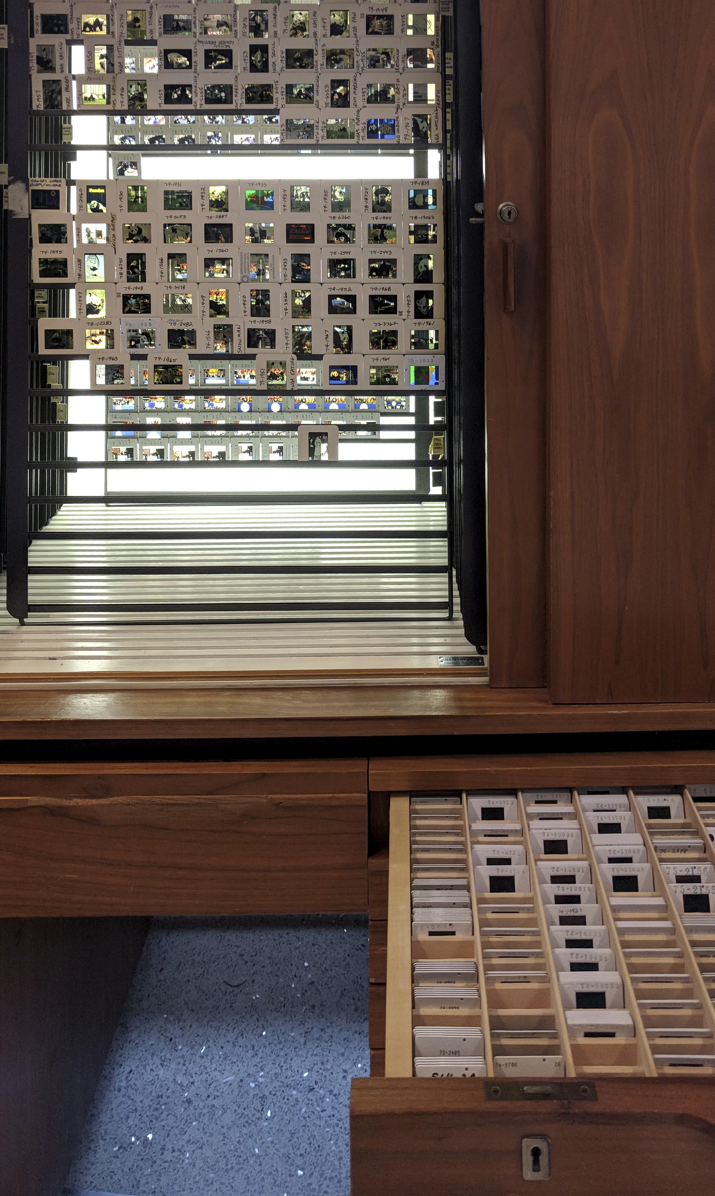 Slide storage and viewing cabinet