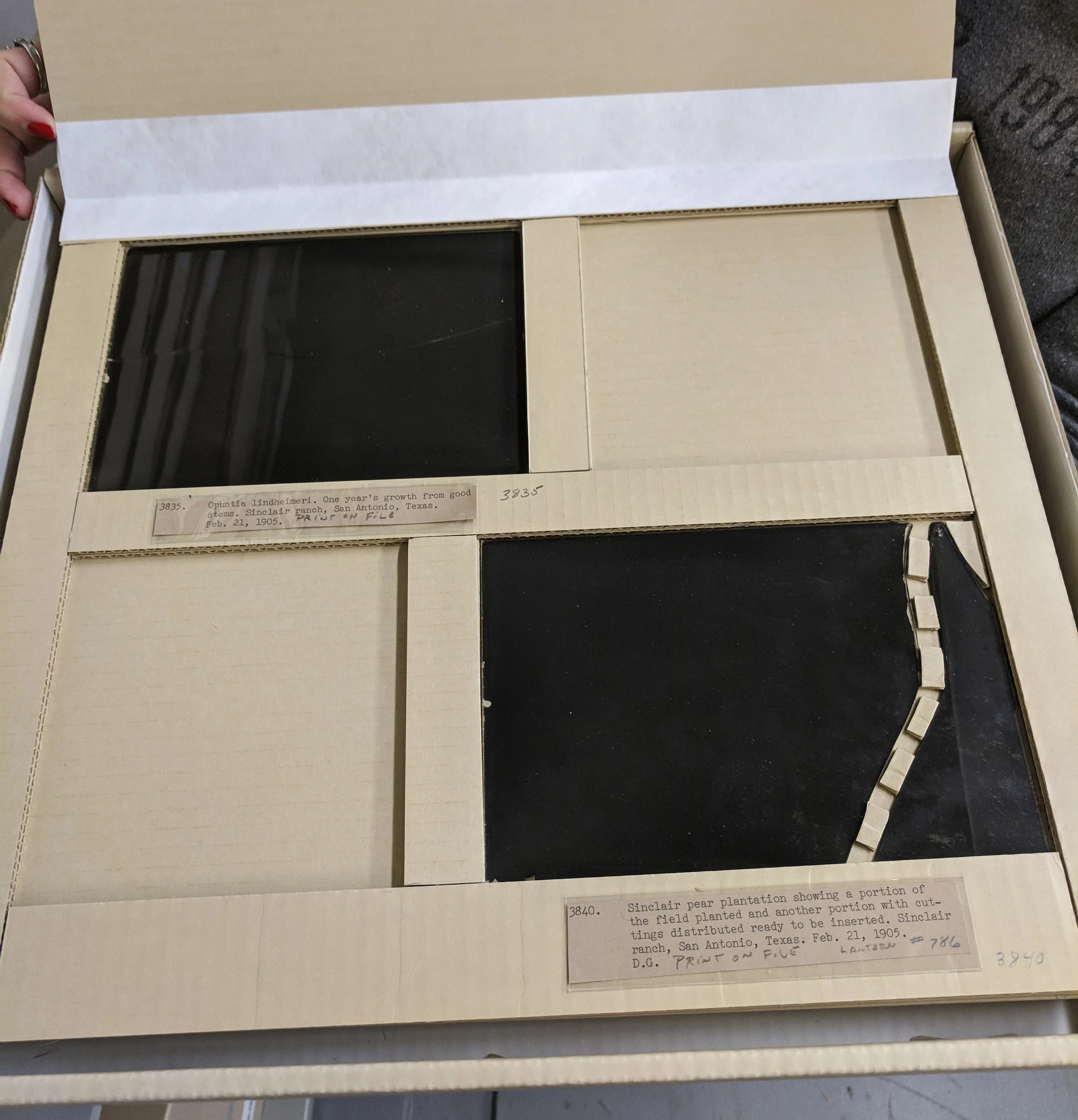 Custom housing for glass plate negatives