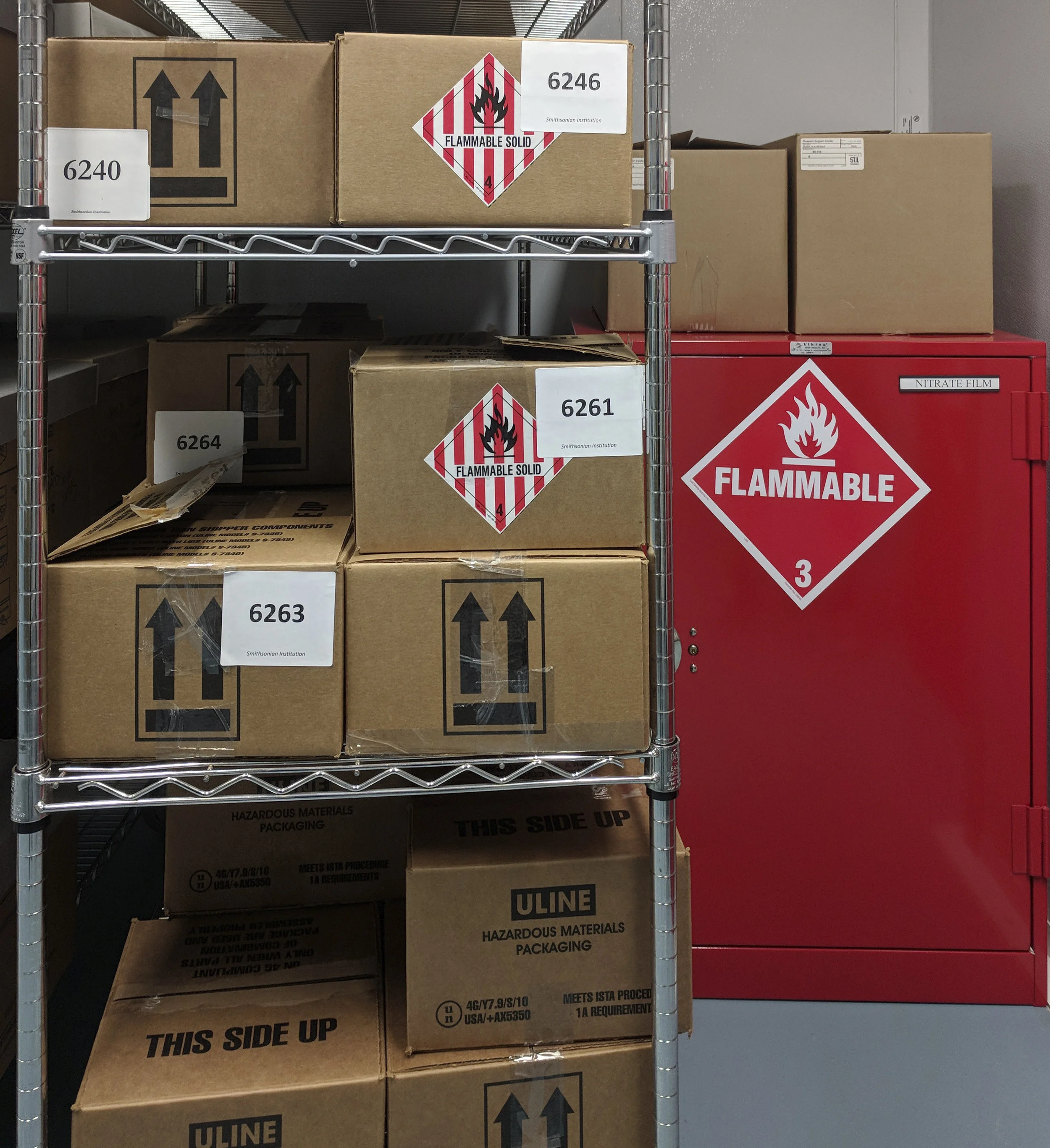 Nitrate negatives, soon to be stored in freezers