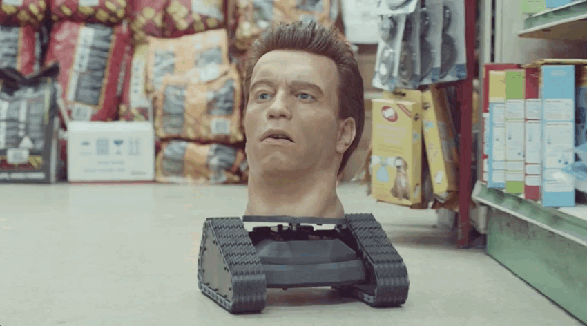 IT'S FRIDAY! SO HERE'S A SHOUTING SEVERED HEAD OF ARNOLD SCHWARZENEGGER