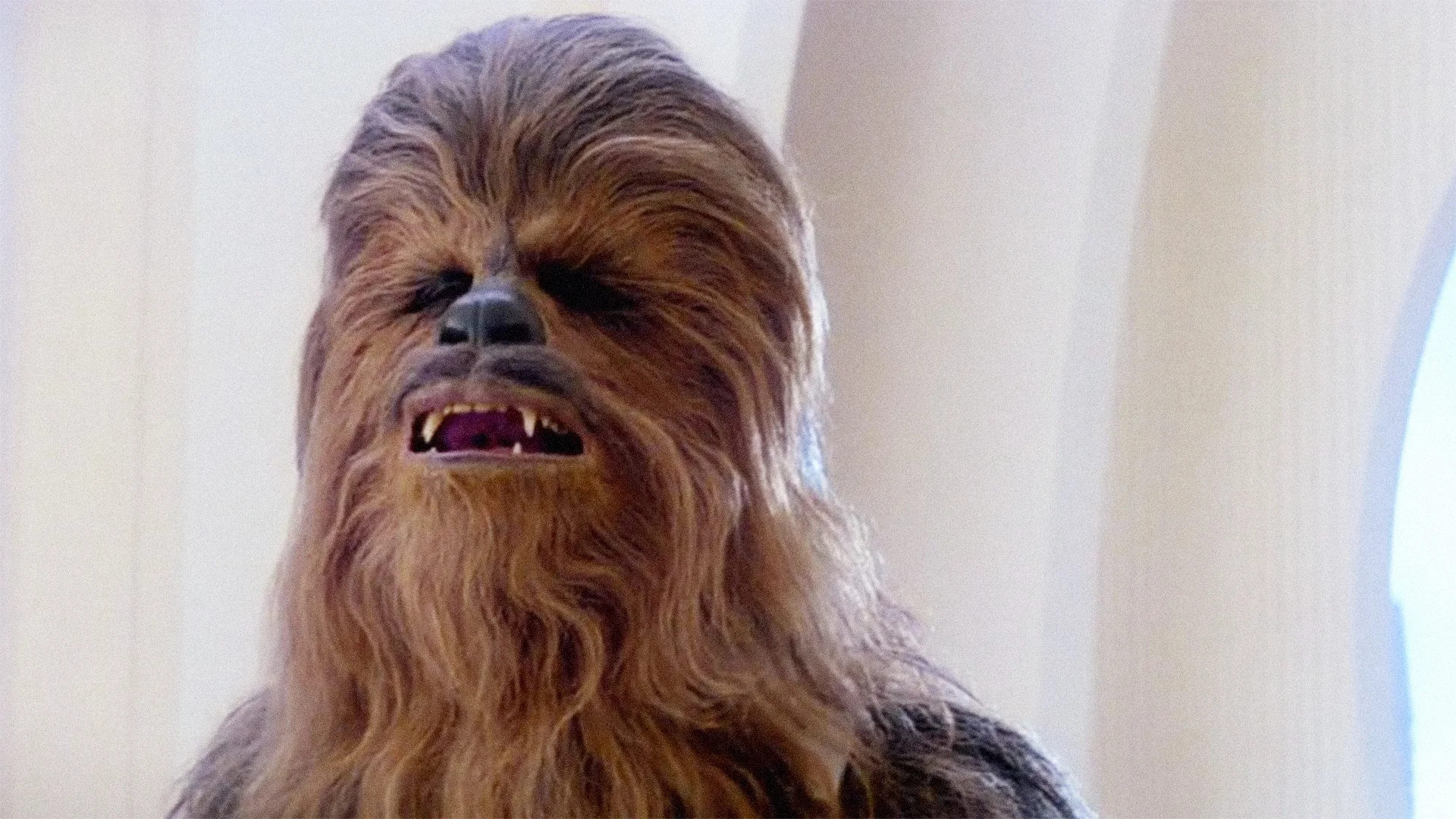 WTF IS A DIRTY CHEWBACCA?