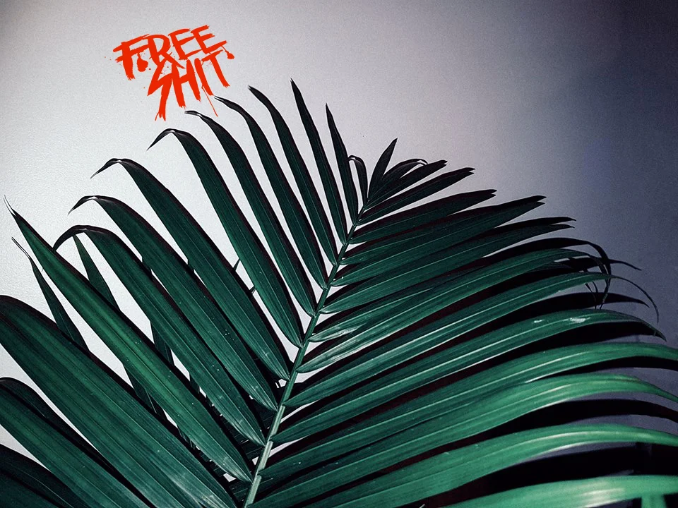 FREE SHIT FRIDAYS: THOOK - MANCE TO SOCIETY 