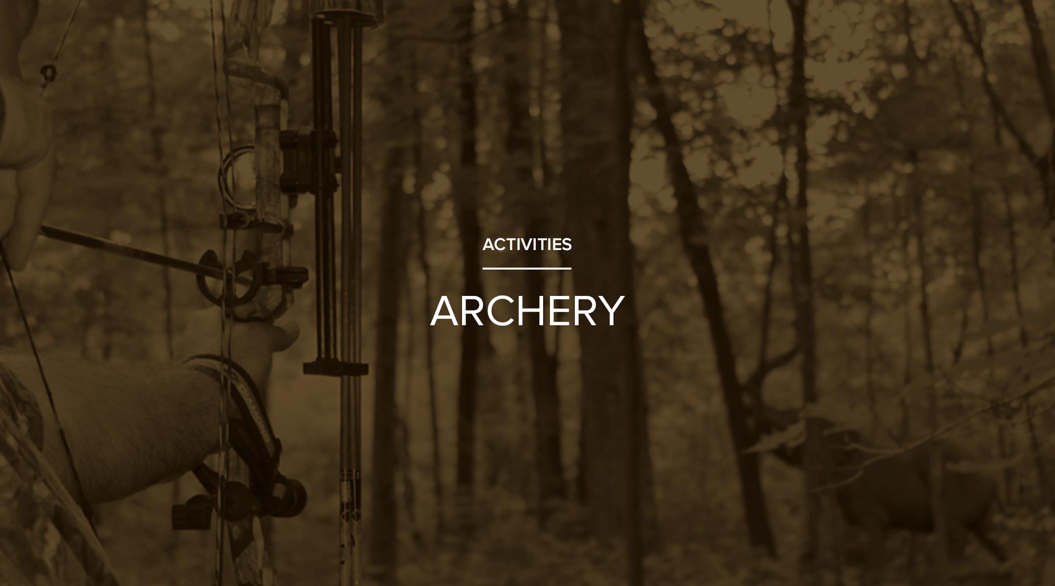Section_Activities_Archery.jpg