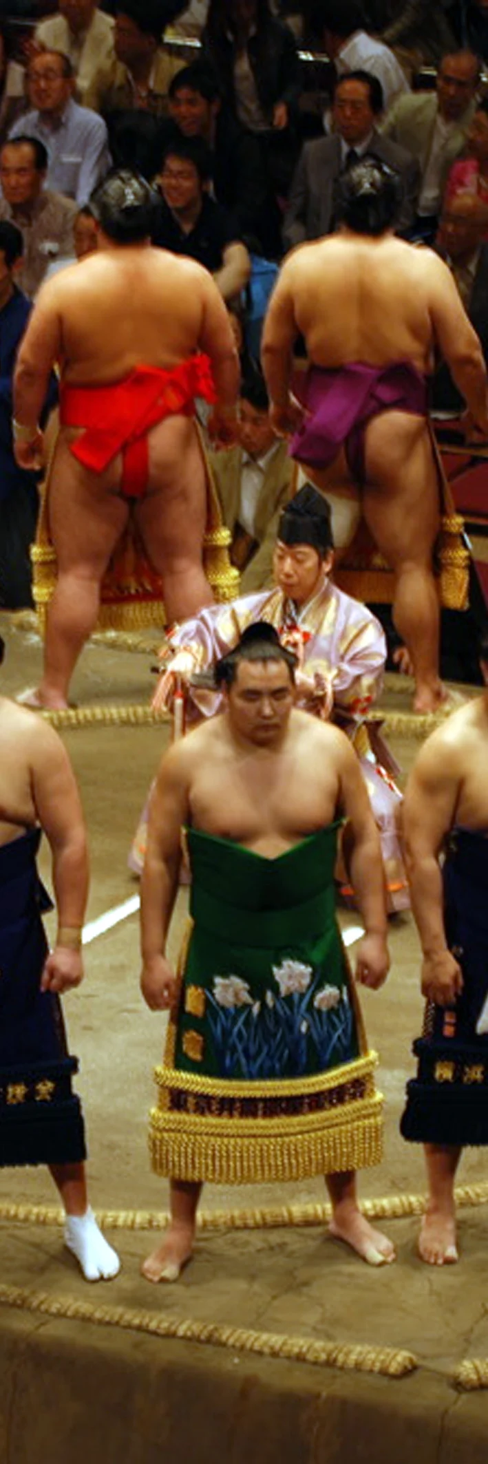 300 x 900 sumo - Copy.jpg