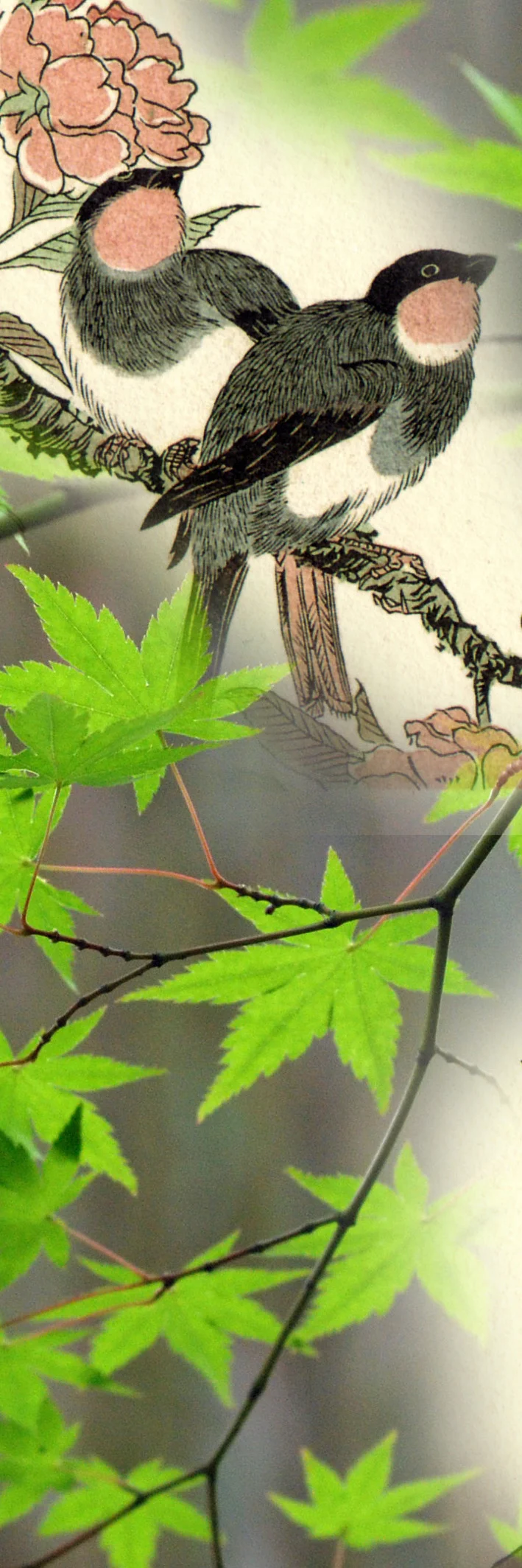Birds song at the shrine 300 x 900 - Copy.jpg