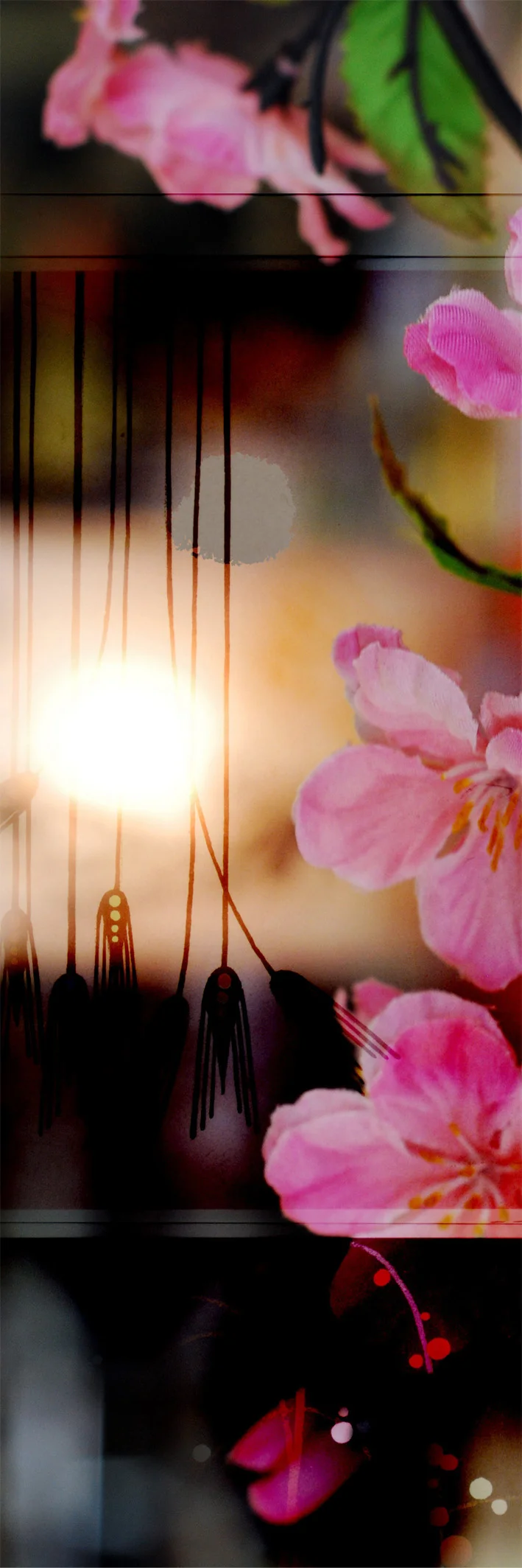 Cherry Blossom 300 x 900 copy.jpg