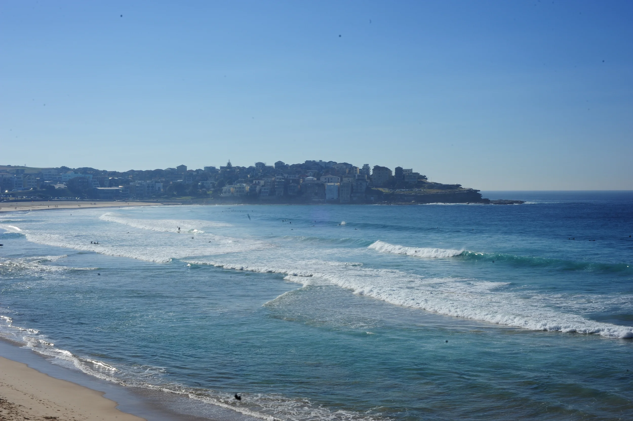 Bondi (2 of 99).jpg