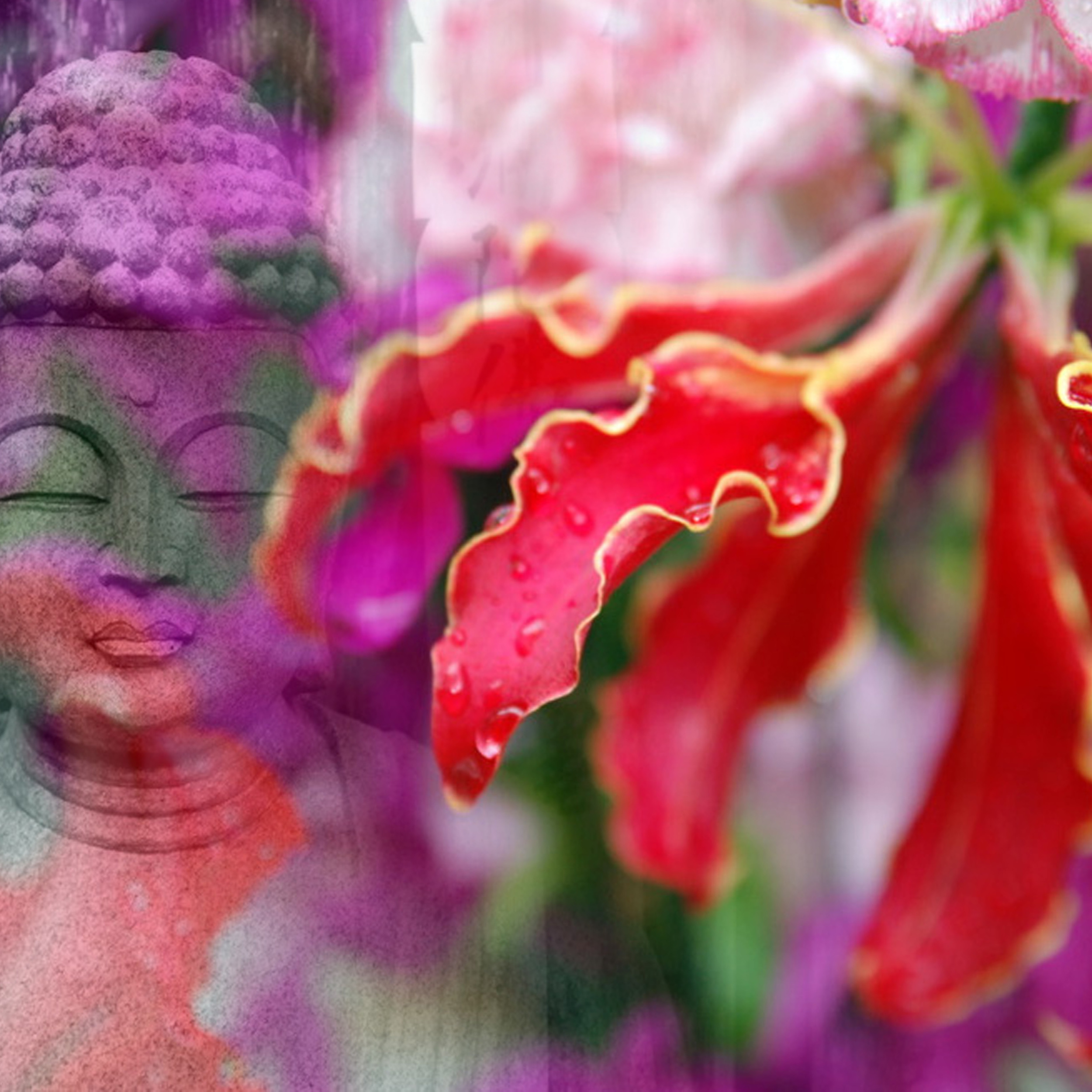 300x300 budda.jpg