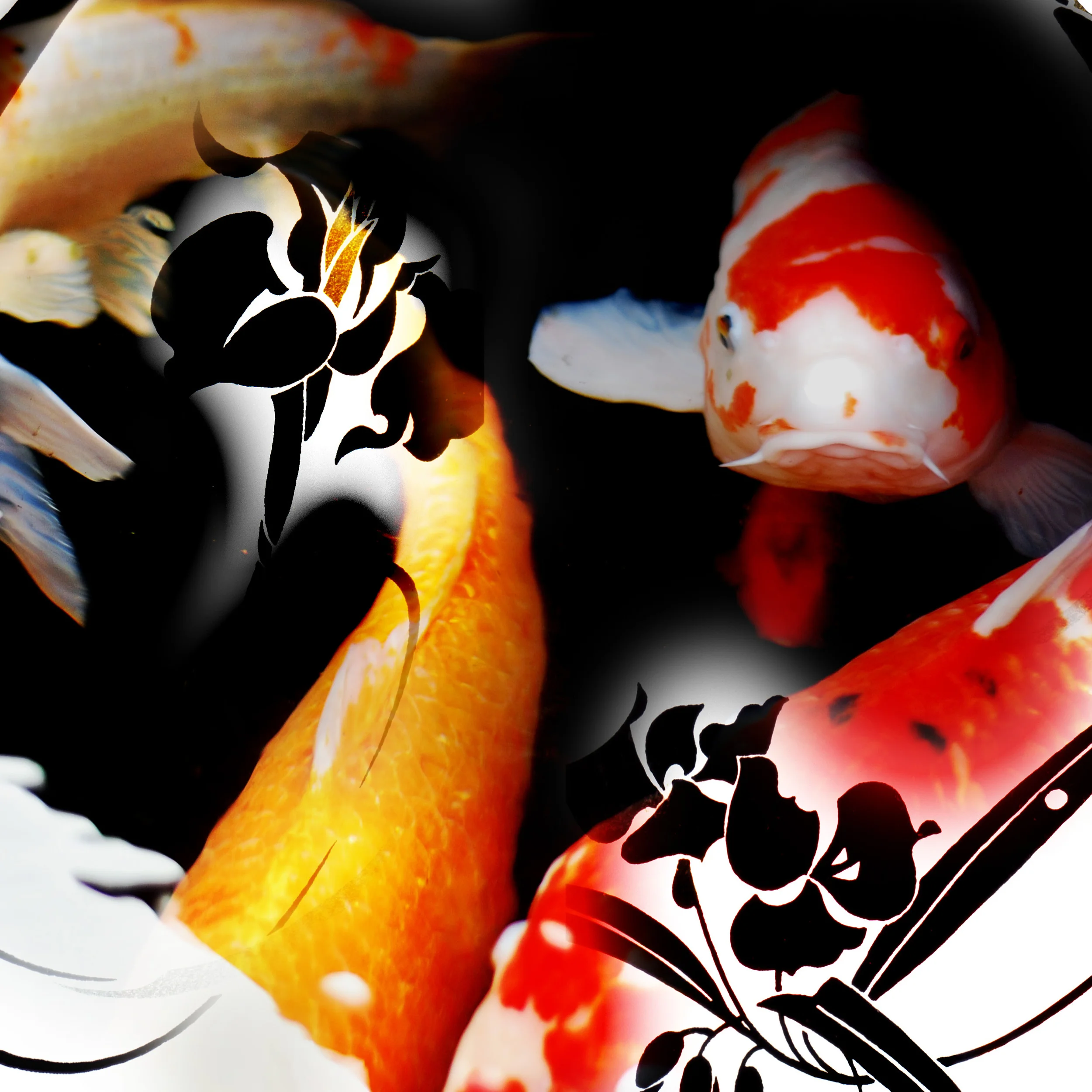 Carp 300x300 copy.jpg