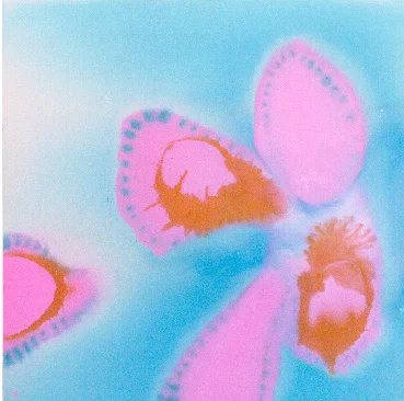 Bali Float, 2005, acrylic on canvas, 2005