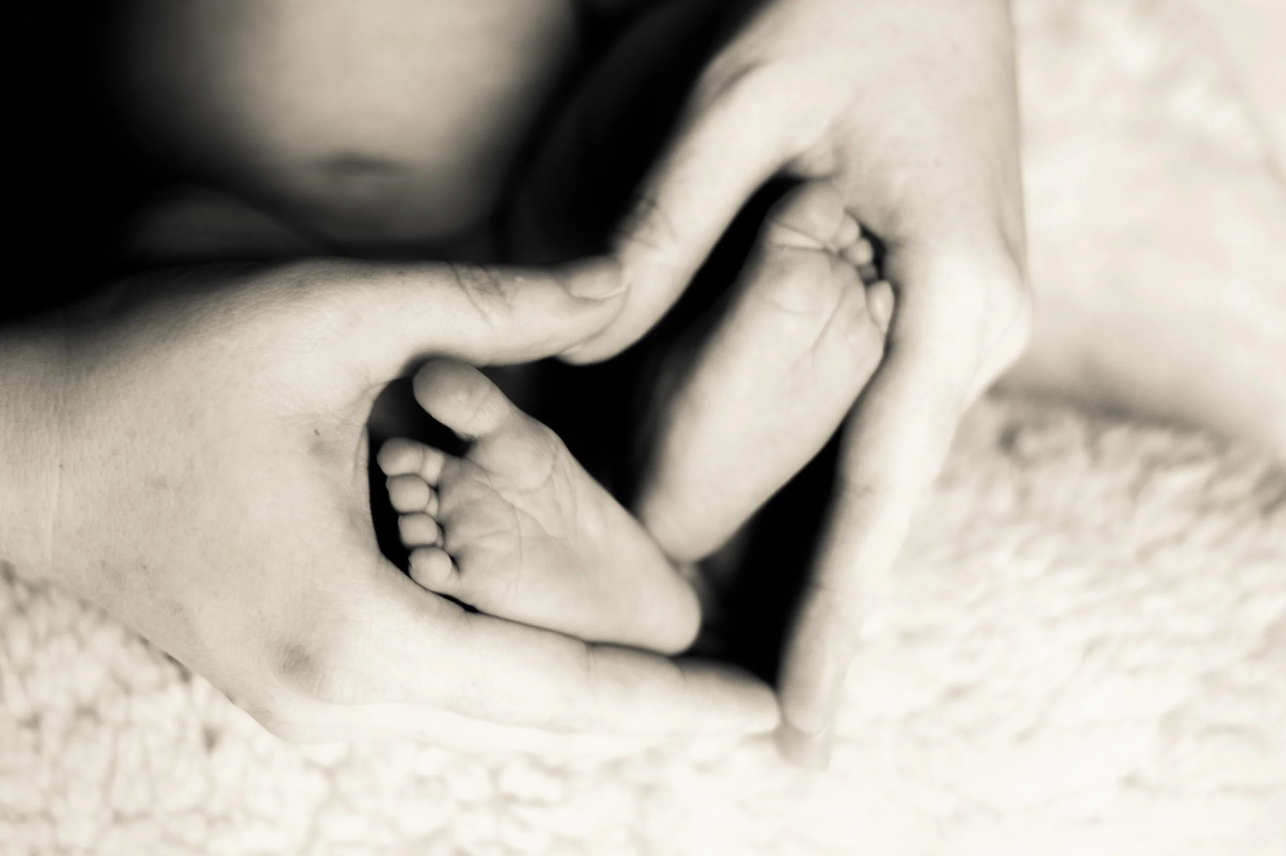 Baby Blue 2017 (Copy)