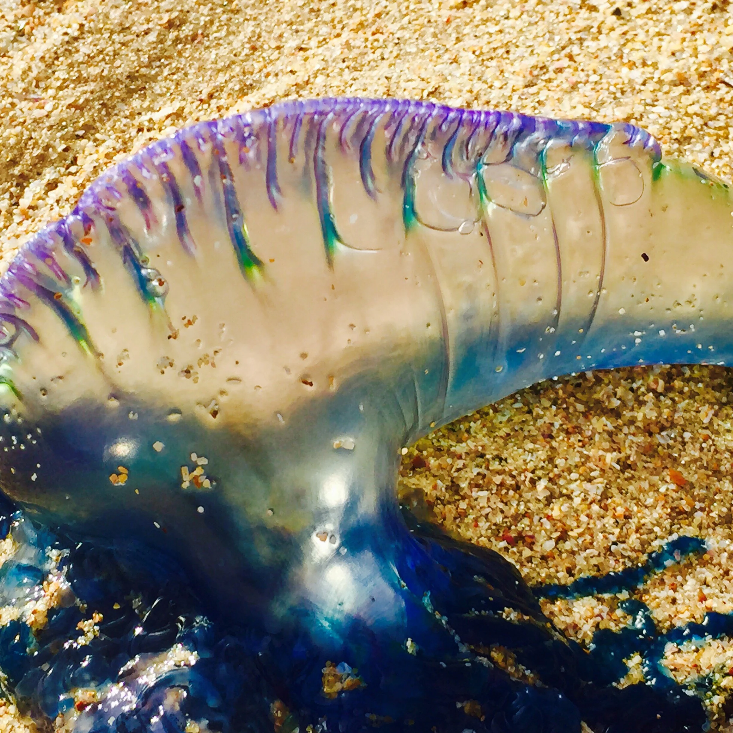 B2765572-C877-470D-8D10-AF145201BC40