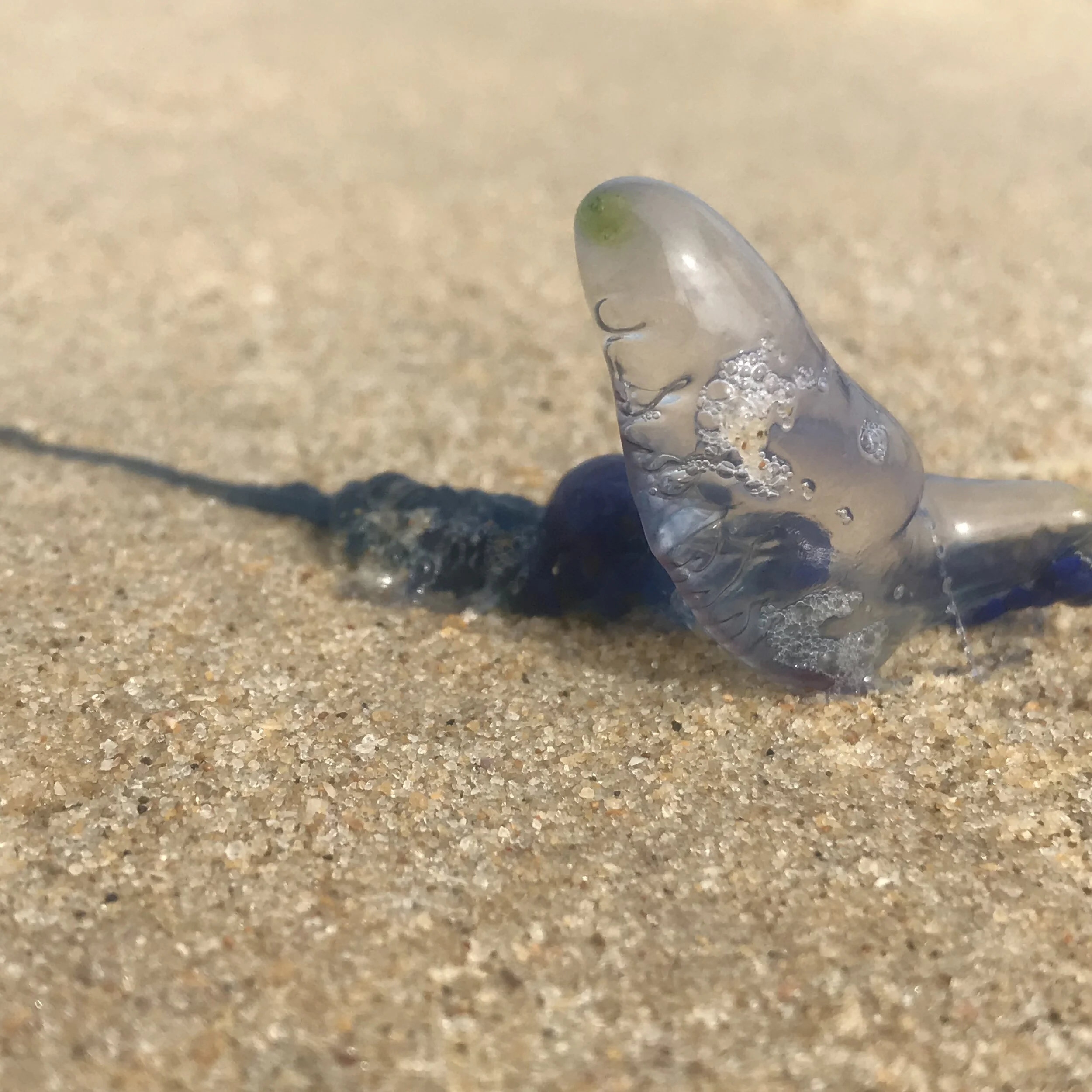 2A0649D0-87EB-45B6-864D-05AF5AD3DE6B