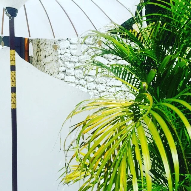 ED70C893-024A-42B8-AADB-E516486E1798