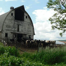 Hudson Valley Harvest Frozen Meats