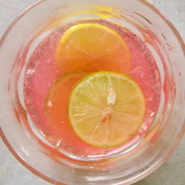 Hibiscus Key Limeade