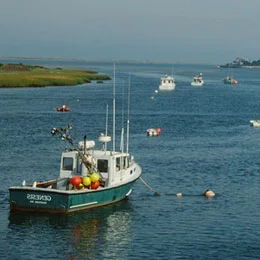 Edible National & Gabe The Fish Babe