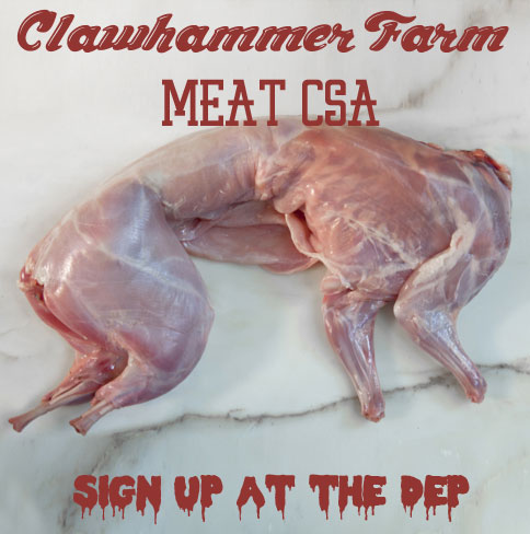 clawhammer-csa-thumb