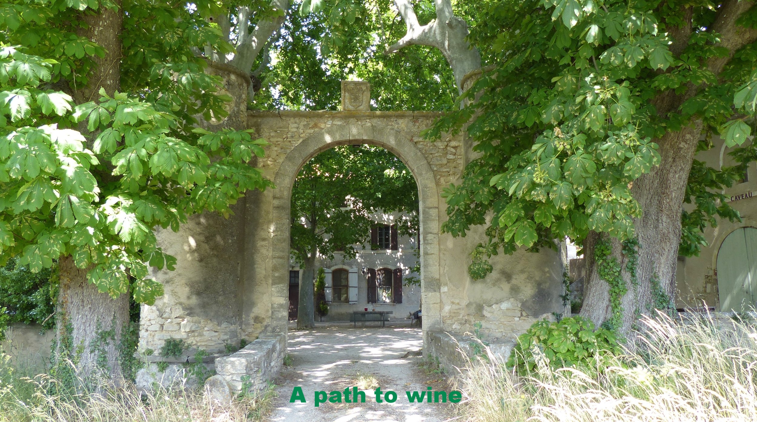 provence-france-winery.jpg