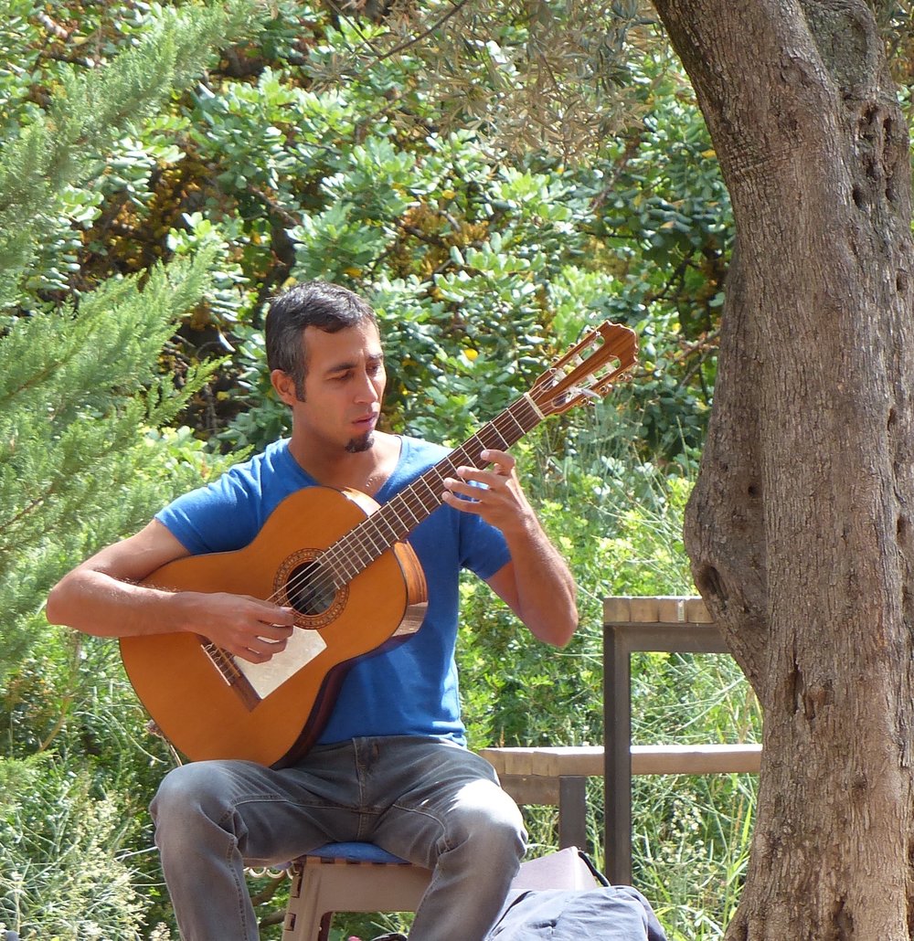barcelona-musician-parc-guell.jpg