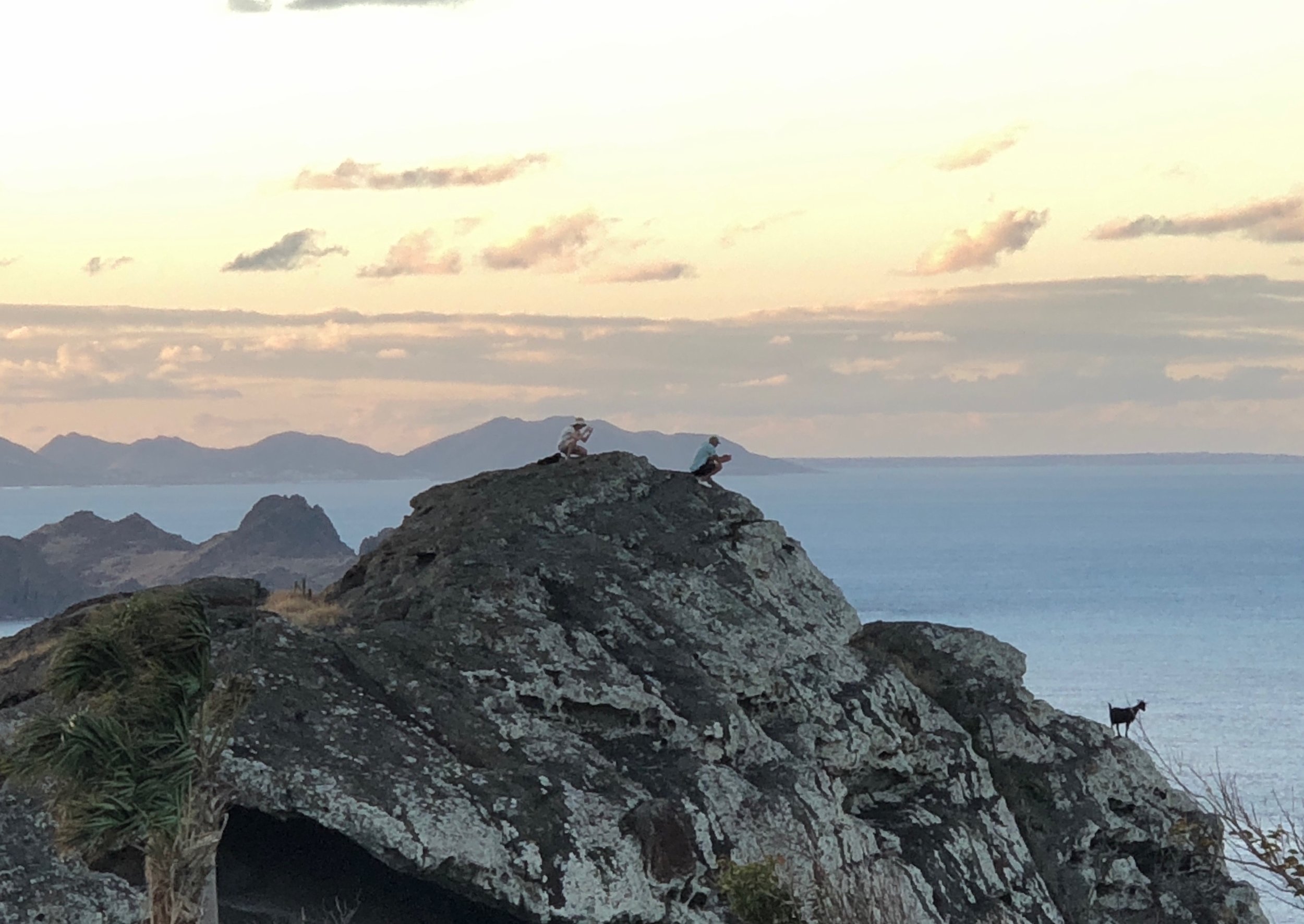 goat-sunset-st-barth.jpg