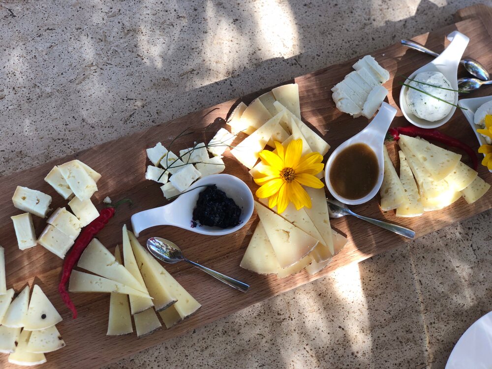 cheese-tasting-pienza.jpeg