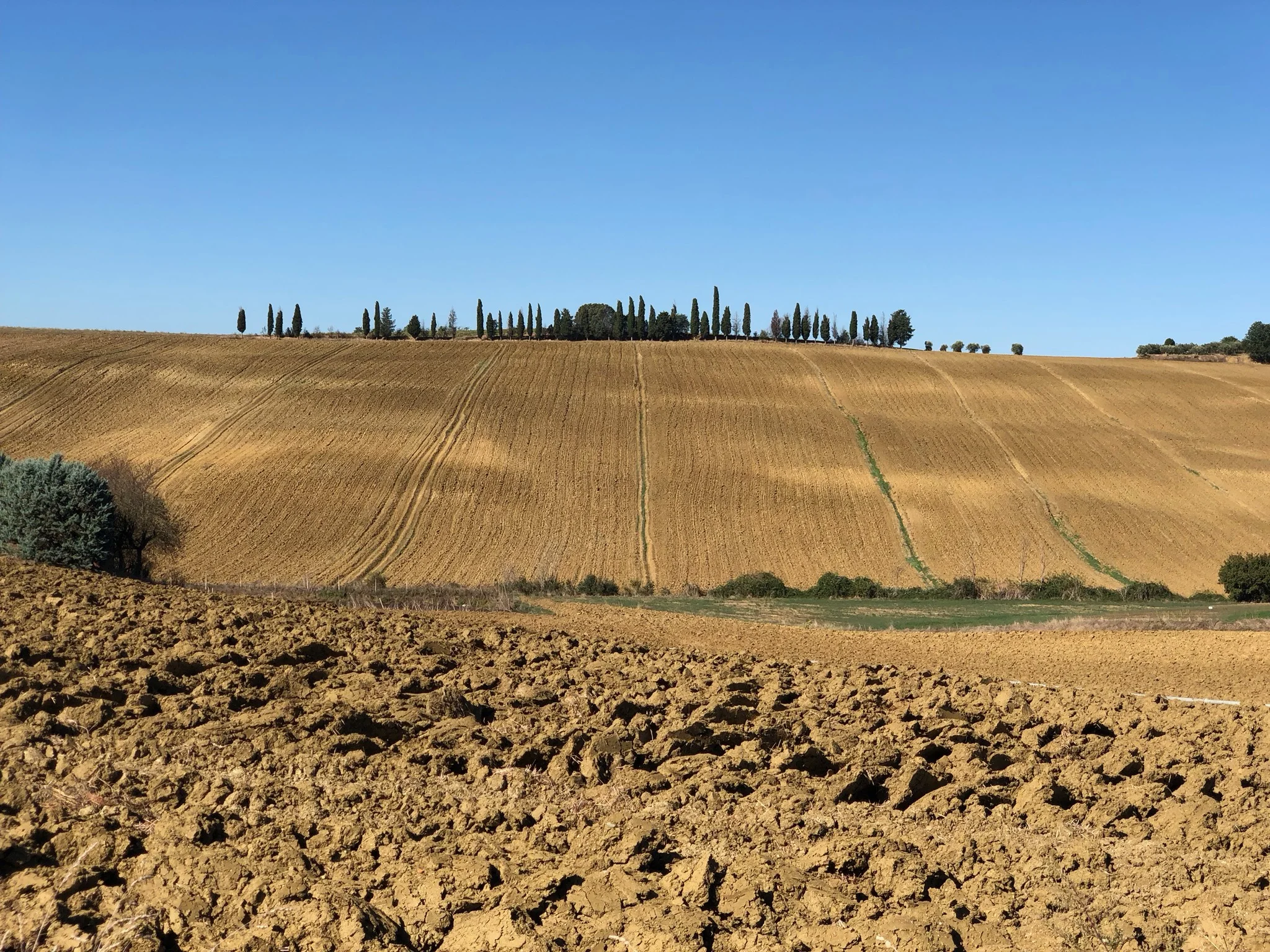 The Biggest Secret in Tuscany