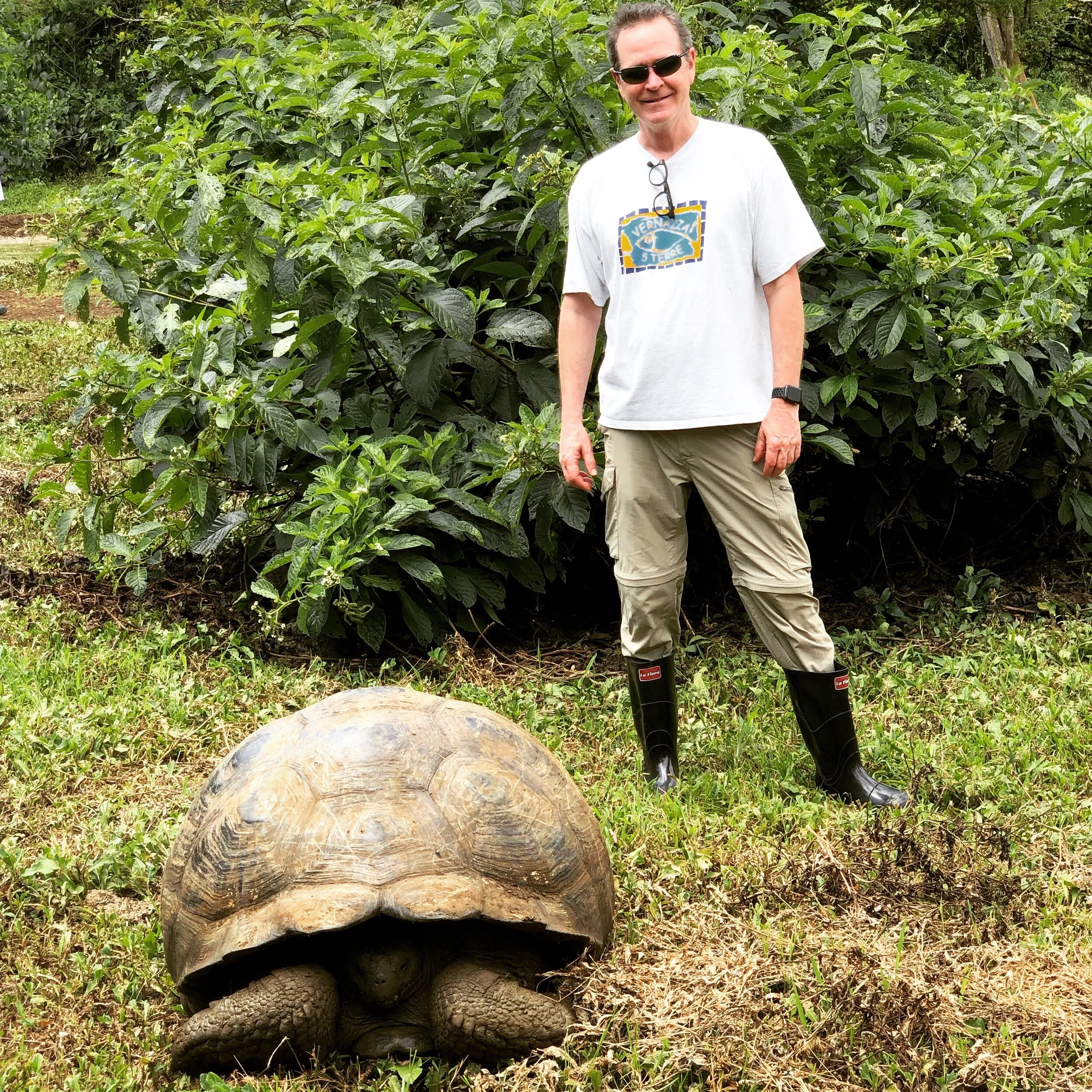 gianttortoise-galapagos-biggeorge.jpeg