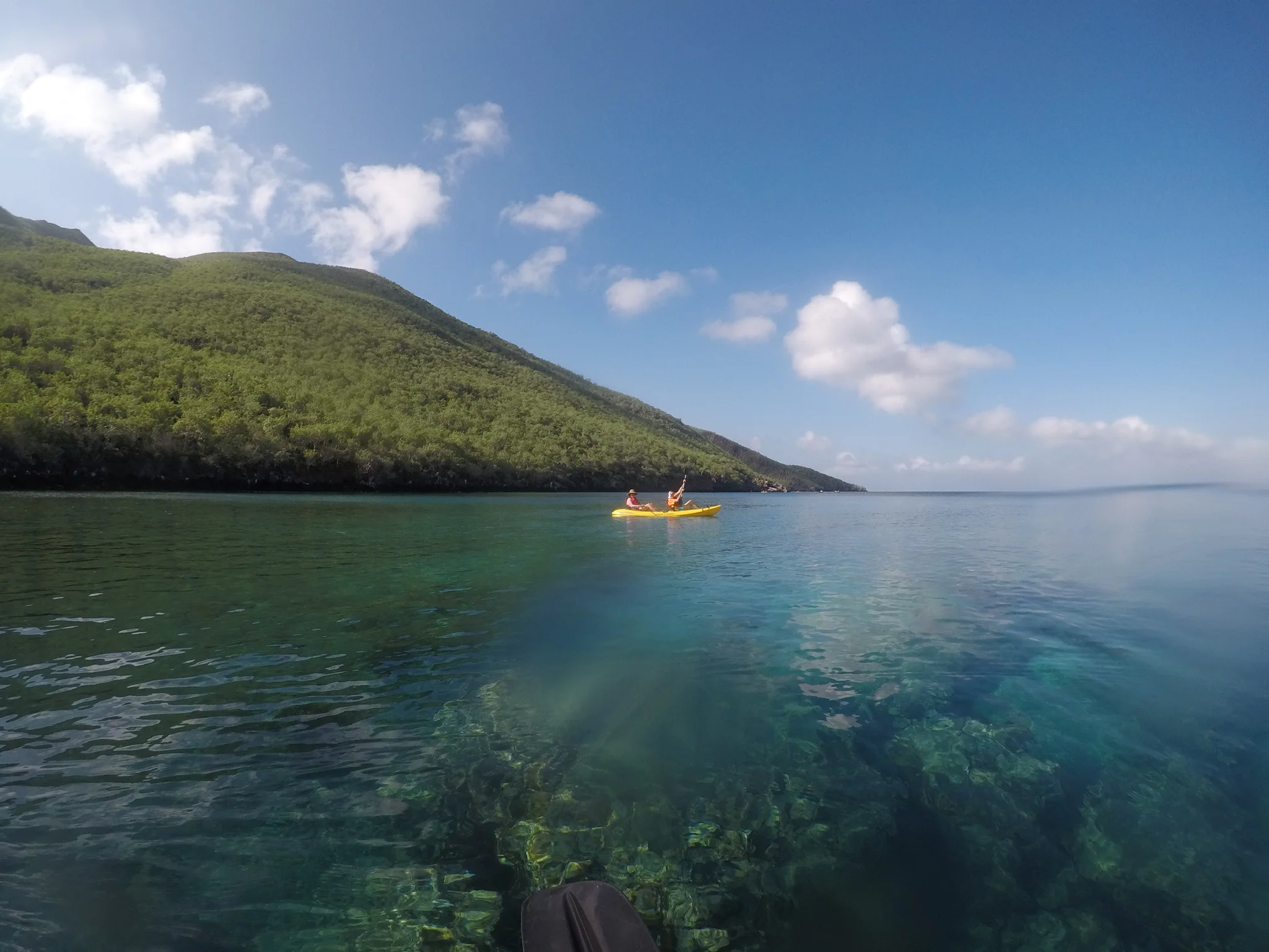 GALÁPAGOS ISLANDS~  Discovering An Ancient Land On The Equator