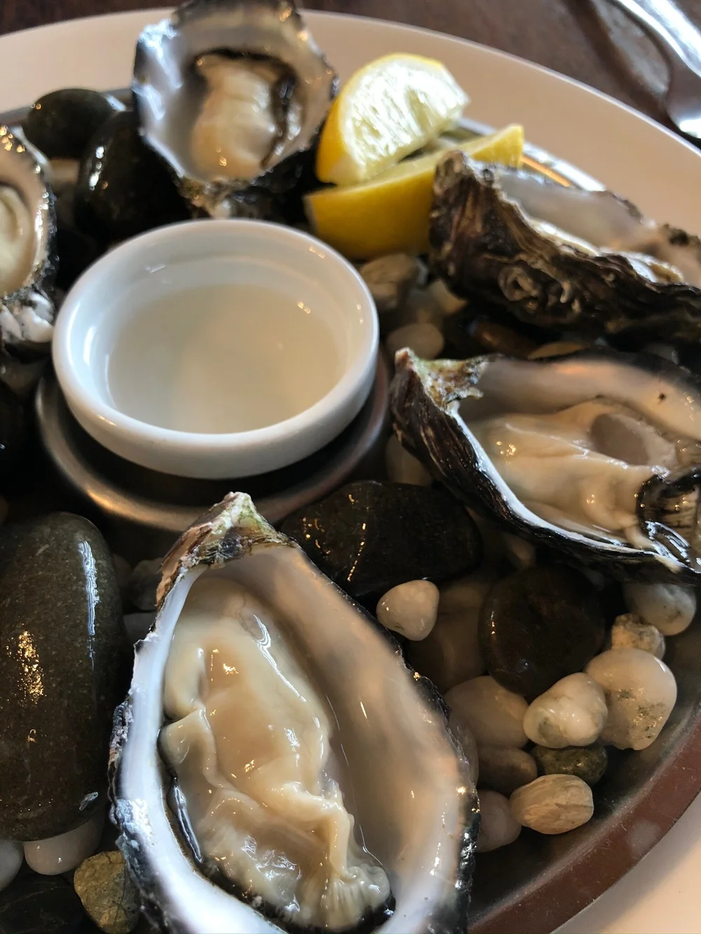 oysters-nz.jpeg