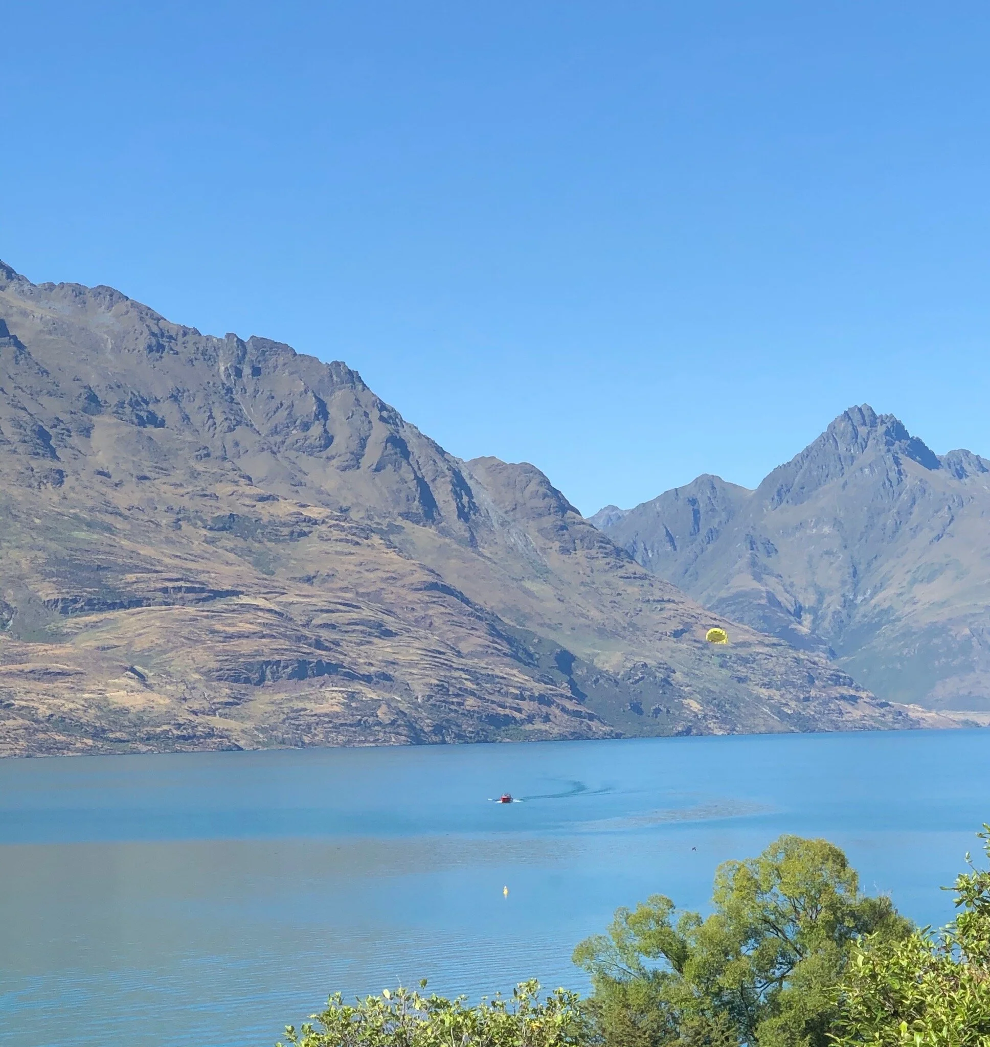 Discover Wine Country in New Zealand